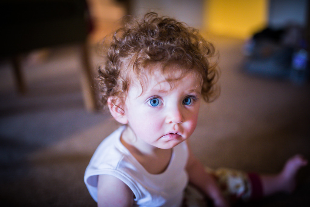 2014 lucy noble photography
