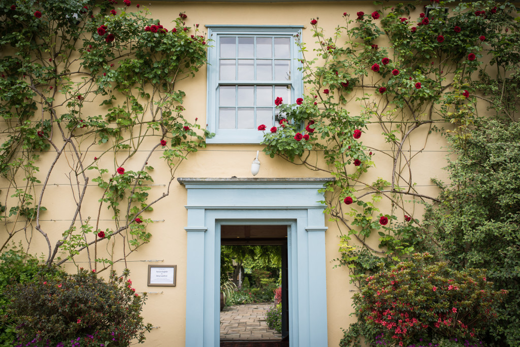 Lucy Noble photography-19