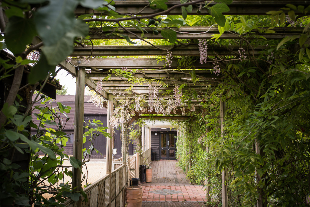 Lucy Noble photography-20
