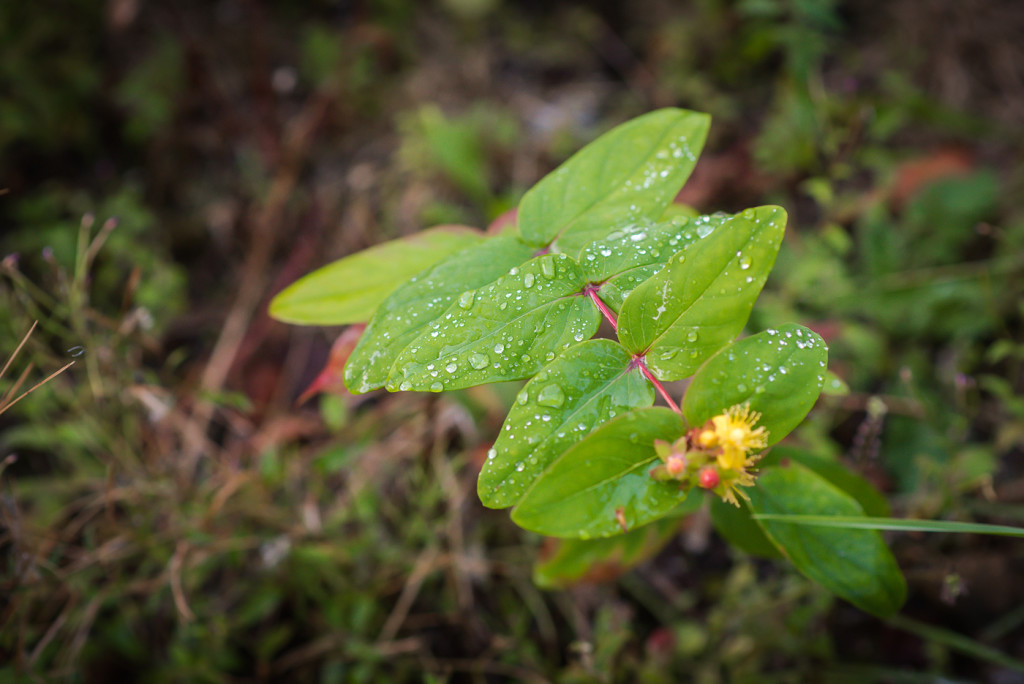 vt-sm-lucy-noble-photography-312